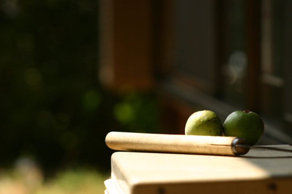 手入れが追いつかず草木が伸び、草刈り作業に追われた瀬戸内海の島にある空き家の庭