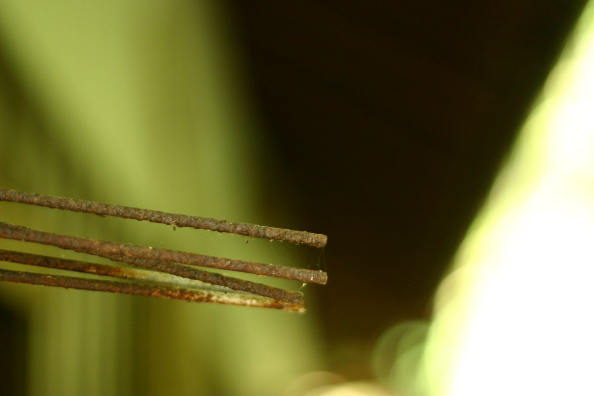 遠距離実家のリアル