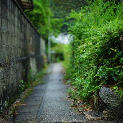 遠距離実家の人のアバター