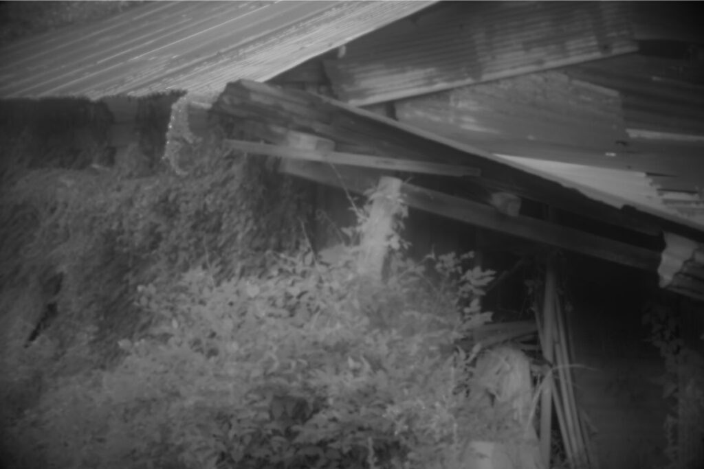 空き家となって放置され、老朽化が進む実家の外観